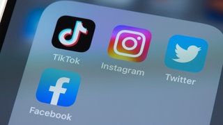 Parasoziale Beziehungen im Internet