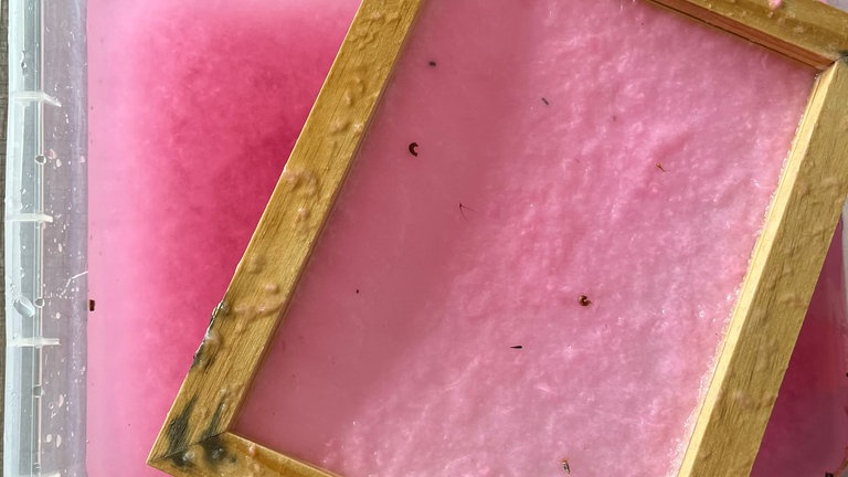 Mit einem Papierschöpfrahmen schöpft man daraus eine dünne Schicht Papier, die dann ebenfalls mit Samen bestreut wird.