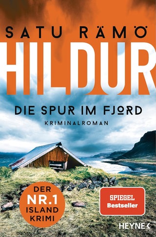 Buccover "Die Spur im Fjörd"