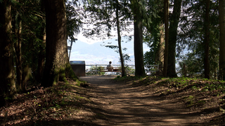 Freiburger Schlossberg