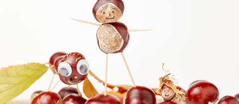 Bastelideen mit Kastanien: Lustige Figuren basteln gehört doch irgendwie zum Herbst.