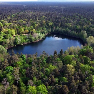 Luftaufnahme des Karlsternweihers im Käfertaler Wald in Mannheim