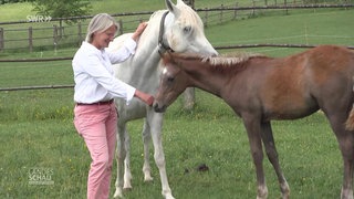 Eine Frau mit Pferd und Fohlen
