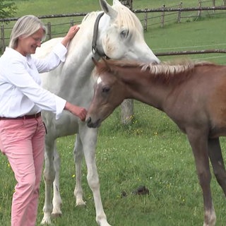 Eine Frau mit Pferd und Fohlen