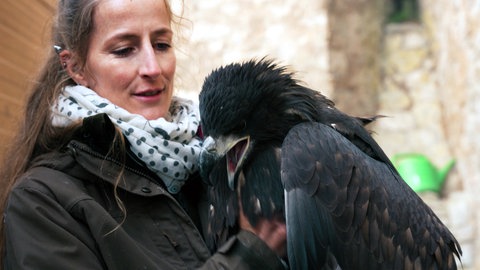 Nathalie ist Oberfalknerin auf Burg Guttenberg. Sie hat einen Greifvogel auf ihrem Arm sitzen.