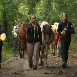 Jugendliche wandern mit Pferden