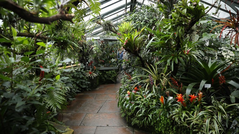Der botanische Garten in der Wilhelma, in der Mitte ein kleiner Weg, links und rechts von verschiedenen Pflanzen und Blumen umgeben.