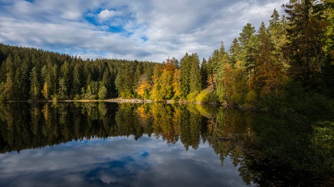 Mathisleweiher im Herbst: Beim Wandern rund um Hinterzarten im Schwarzwald zeigen die Bäume ihre bunt gefärbten Blätter.