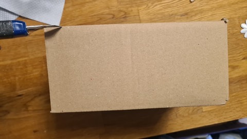 Von einem stabilen Karton und alle losen oder überstehenden Laschen entfernen, indem sie mit der Schere oder dem Cuttermesser abgeschnitten werden.