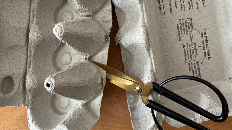 Zuerst die hohen Spitzen zwischen den Eiermulden vorsichtig aus dem Eierkarton herausschneiden. Diese bilden später die kleinen "Tütchen". 