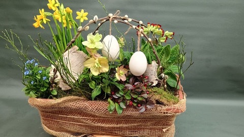 Balkonkasten für Ostern neu bepflanzen