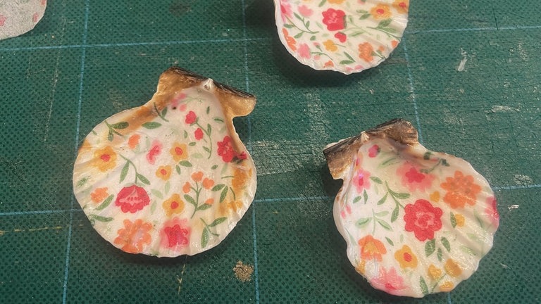 Die beklebten Muscheln nun gut trocknen lassen. 