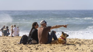 Symbolbild zum Thema Reisen mit Hund. Zwei Menschen sitzen mit ihrem Hund am Strand mit Blick aufs Meer.
