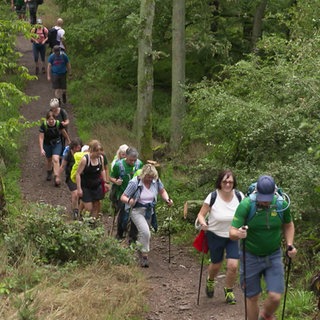 Unser Ausflugstipp: Geführte Wanderung an der Mosel