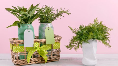 Upcycling-Idee: Vase aus alten Dosen