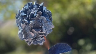 Hortensienblüten aus Jeans