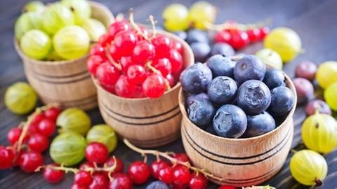Frische Beeren: Johannisbeeren, Heidelbeeren, Stachelbeeren