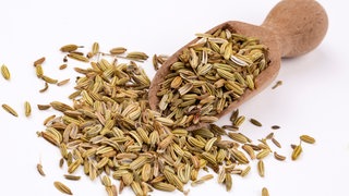 Fenchelsamen - so gesund ist Fenchel