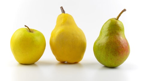 Apfel, Birne und Quitte. Meistens findet man im Supermarkt nur ein bis zwei Birnensorten, Quitten fehlen sogar meist komplett. Dabei sind die Früchte lecker, vielseitig, gesund – und heimisch.