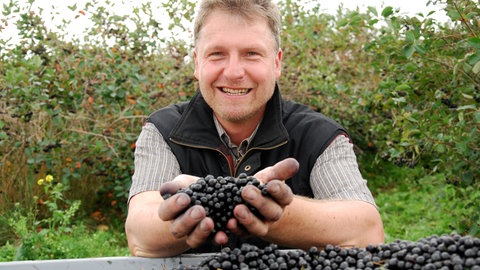 Mann hält lächelnd auf seinen Händen Aroniabeeren in die Kamera