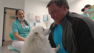 Therapiehund Jara nimmt die Angst vorm Zahnarzt