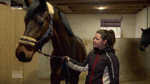 Eine Frau und ein Pferd