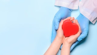Organspende
