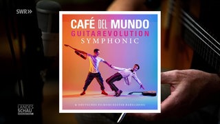 Flamenco Musiker Cafe Del Mundo