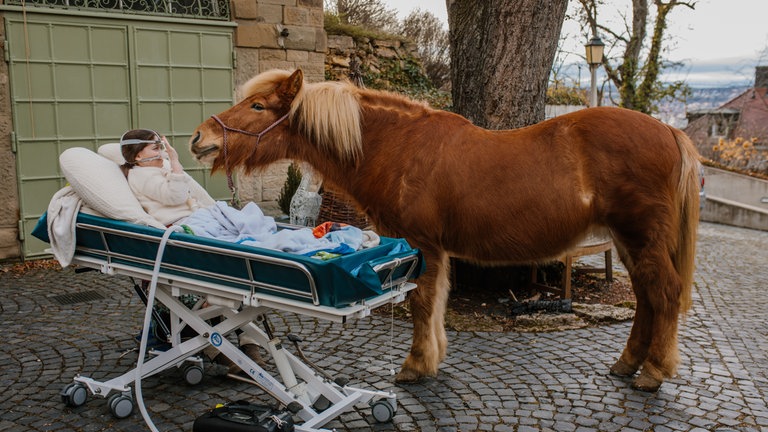 SWR1 Neuanfang: Lenya eine Woche vor ihrem Tod: Im Kinderhospiz Stuttgart bekommt sie Besuch von ihrem Lieblingspferd Elja. Lenya liegt auf einer fahrbaren Trage, diese steht auf dem gepflasterten Hof des Hospiz'. Das Pferd steht nahe vor der Trage und reckt seinen Kopf in ihre Richtung.