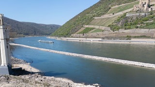 Binnenschiffer Kai Brockmann zu Niedrigwasser: Es wurde viel verschlafen! | Mäuseturm Bingen: Niedrigwasser