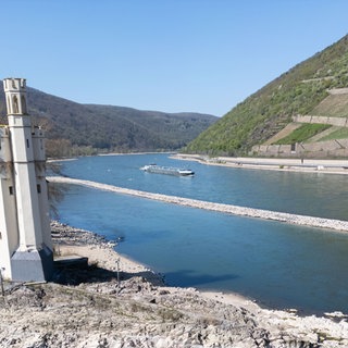 Binnenschiffer Kai Brockmann zu Niedrigwasser: Es wurde viel verschlafen! | Mäuseturm Bingen: Niedrigwasser