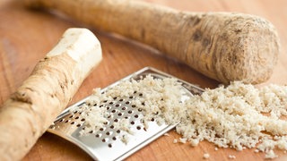 Heilpflanze: Meerrettich 