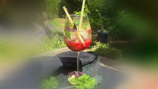 Ein Rhabarber Spritz Cocktail steht auf einem Holztisch im Garten. Fruchtig, spritzig und erfrischend und den Rhabarbersirup könnt ihr ganz einfach selber machen.