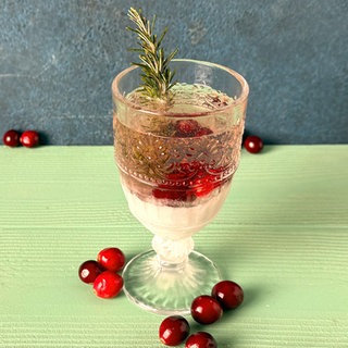 Alkoholfreier Gin Tonic mit Cranberrys