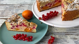 Aprikosen-Johannisbeer-Kuchen mit Mandelstreuseln