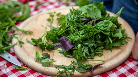 Wildkräuter-Pesto