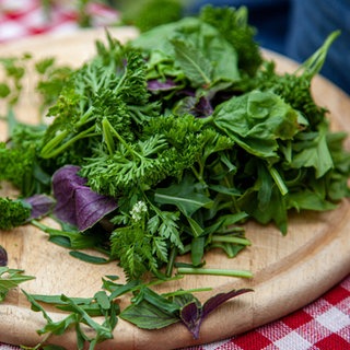 Wildkräuter-Pesto