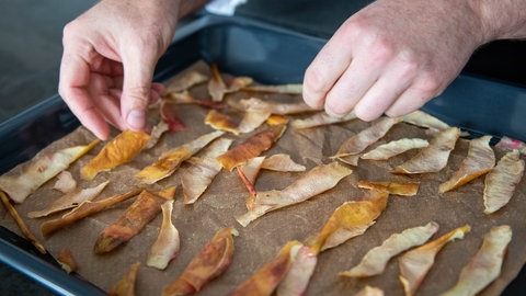 Knusprige Apfelschalenchips
