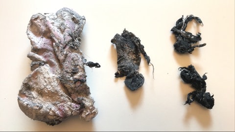 Waschmaschinenarchäologie: Links eine mumifizierte Damensocke. Die spärlichen Gewebereste rechts davon konnten nach detaillierter Untersuchung zwei seit der letzten Eiszeit vermissten Herrensocken zugeordnet werden. 