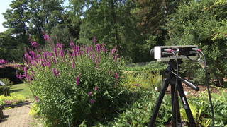 Kamera in Garten