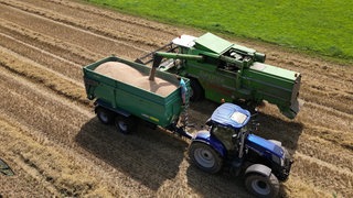 Traktor erntet Getreide