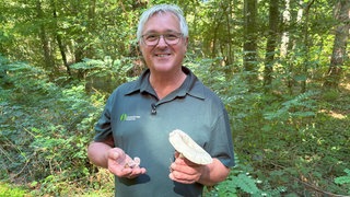 Mann mit Pilzen in der Hand lächelt in die Kamera
