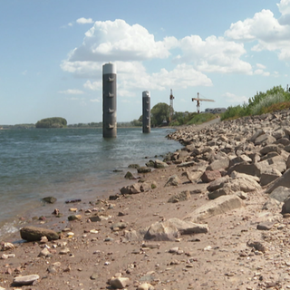 Die Pegel im Rhein zeigen historische Tiefststände an.
