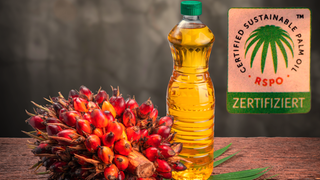 Wie fair und nachhaltig sind Siegel wie RSPO&Co.?
