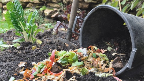 Küchenabfälle und Kompost im Garten