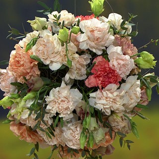 Blumenwolke