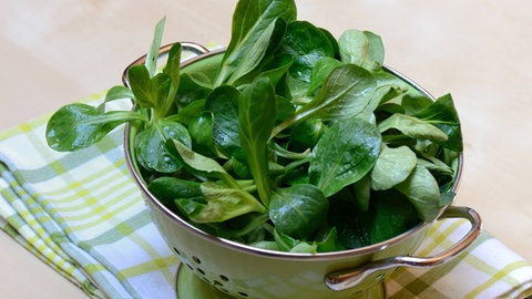 Feldsalat