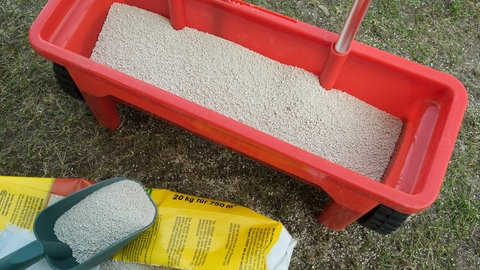 Rasen wird im Frühjahr mit einem Streuwagen voller Rasendünger gedüngt.