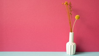 Dopamin Decor: Warum Farben unser Zuhause (und uns) glücklicher machen können