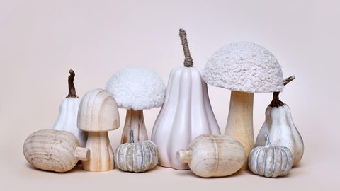 Herbstdeko mit Kürbisen, Pilzen und Eicheln in beige gehalten. 
